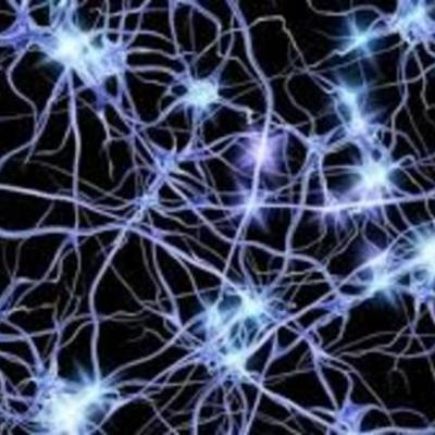 Timeline: Las Neuronas