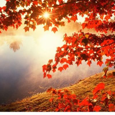 Timeline: US History