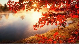 Timeline: US History