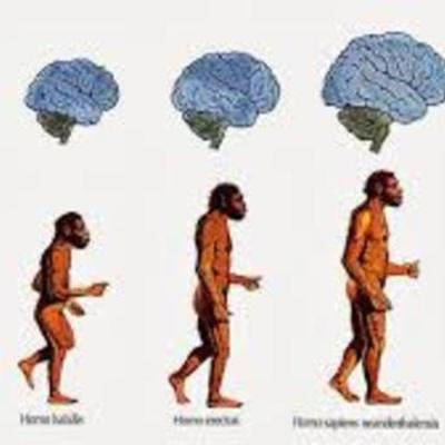 Timeline: TEORIAS DE EVOLUCION