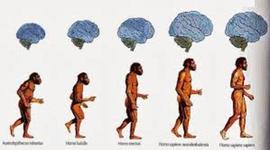 Timeline: TEORIAS DE EVOLUCION
