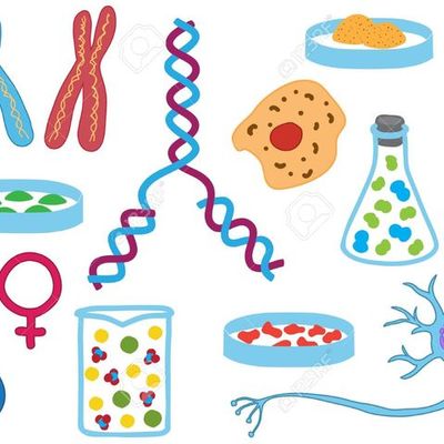 Timeline: Biología avances y descubrimientos