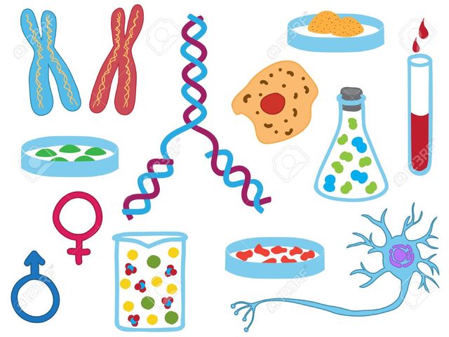 Biología avances y descubrimientos timeline Timetoast