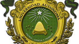 Timeline: historia de las constituciones KELLY AM