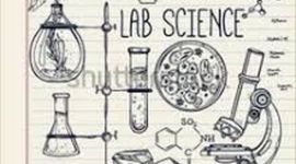 Timeline: Científicos más importantes