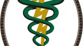 Timeline: Historia de la fisioterapia