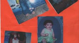 Timeline: Desarrollo evolutivo