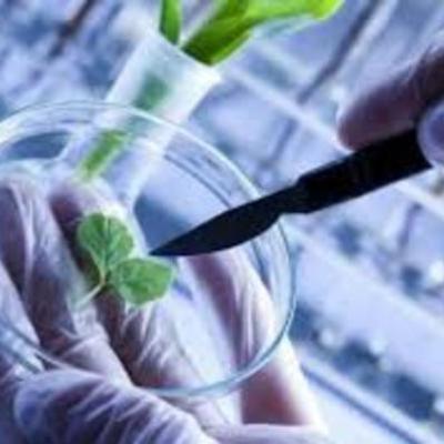 Timeline: Biotechnolgy Time Line