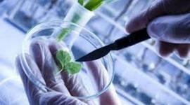 Timeline: Biotechnolgy Time Line