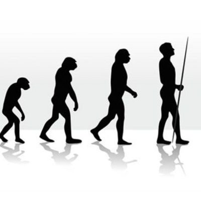 Timeline: Food Development Timeline