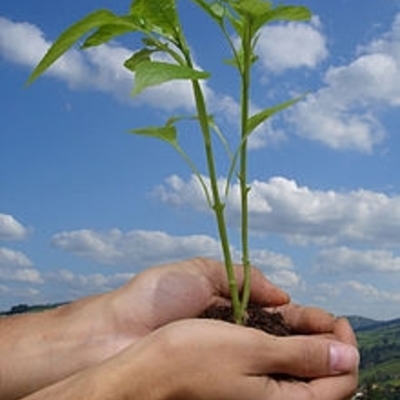 Timeline: Aportadores de la ecologia