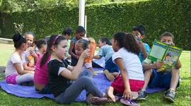 Timeline: linea del tiempo suramidzul 1d