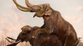 Timeline: Geokronoloogiline skaala