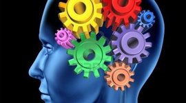 Timeline: Evolucion del conocimiento A5