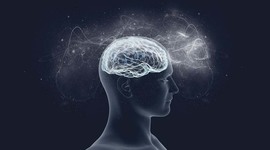 Timeline: Linea del tiempo