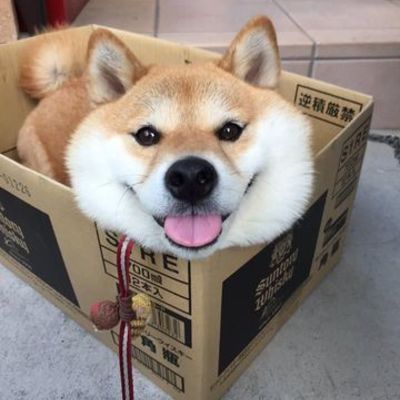 Timeline: Daniela Montaño Zarrabal