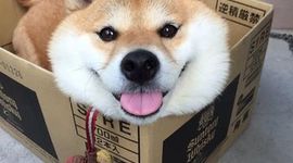 Timeline: Daniela Montaño Zarrabal