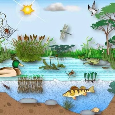 Timeline: COMO HAN CAMBIADO LOS ECOSISTEMAS