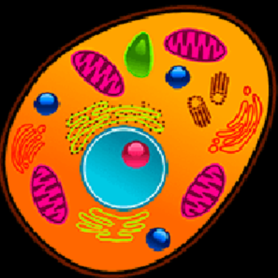Timeline: PROYECTO DE AULA LA CÉLULA.