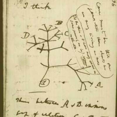 Timeline: Charles Darwin