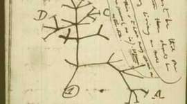 Timeline: Charles Darwin