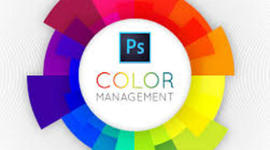 Timeline: Color Management