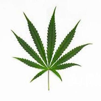 Timeline: La historia de la marihuana