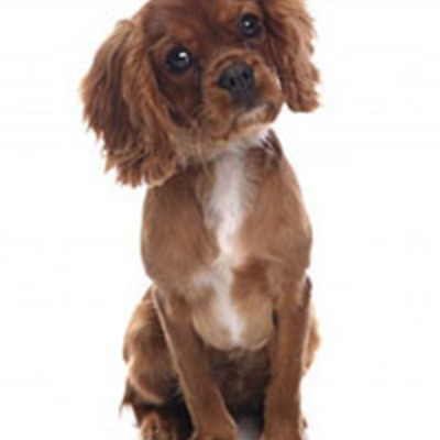 Timeline: EVOLUCION DEL INTERNET