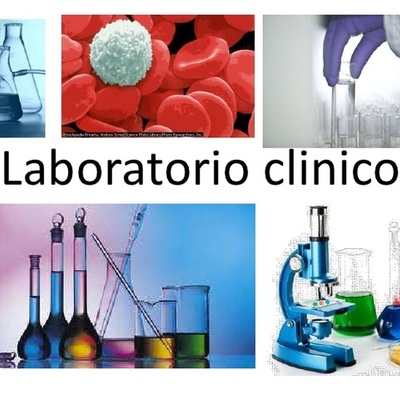 Timeline: LABORATORIO CLINICO