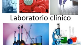Timeline: LABORATORIO CLINICO