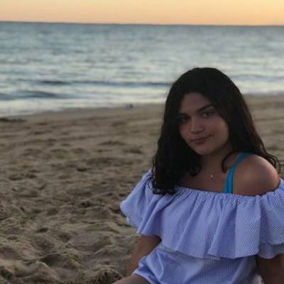 Timeline: Autobiografía