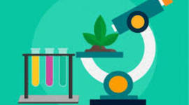 Timeline: BIOLOGIA     karla itzel campos