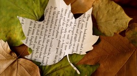 Timeline: Fall 2018 English 2 Honors Semester Project