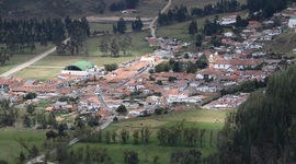 Timeline: Linea de Vida