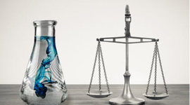 Timeline: Equilibrio Químico