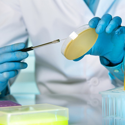 Timeline: EVOLUCION DEL LABORATORIO CLÍNICO