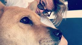 Timeline: The Life and Times of Jude Nolan