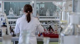 Timeline: Evolución