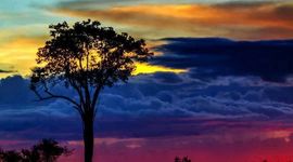 Timeline: Colombia en el siglo XX