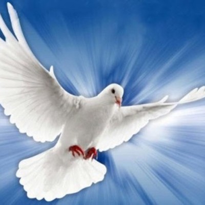 Timeline: Línea de tiempo