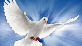 Timeline: Línea de tiempo