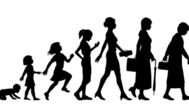 Timeline: Linea de Vida