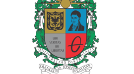 Timeline: Desarrollo universidad Distrital