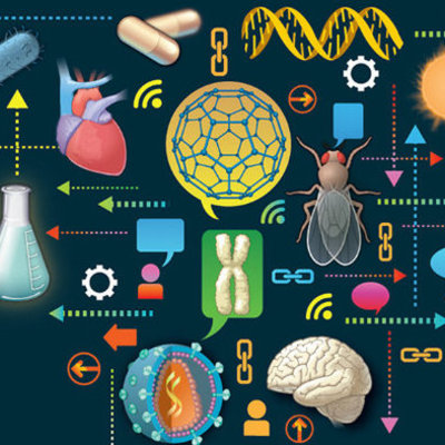 Timeline: El origen de la ciencia