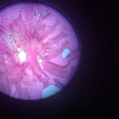 Timeline: Ciencias Administrativas