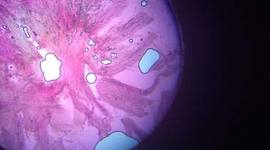 Timeline: Ciencias Administrativas