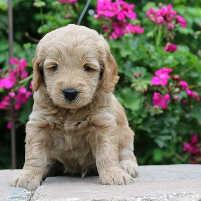 Timeline: Bentleys Life