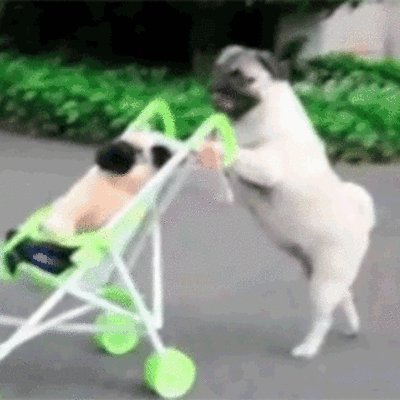 Timeline: ETAPA DE ORGANIZACIÓN