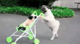 Timeline: ETAPA DE ORGANIZACIÓN