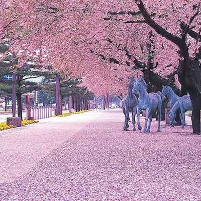 Timeline: Mi historia de Vida